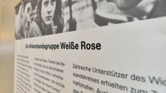 Plakat-Weisse-Rose