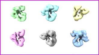 Proteine